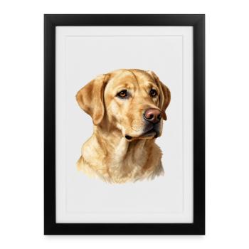 portrait golden retriever - Framed poster (27 × 37 cm) - black - Front