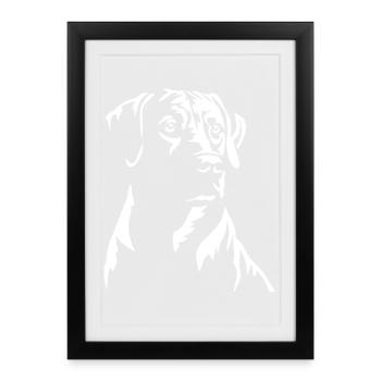 Rhodesian Ridgeback Kopf "Black Edition" - Gerahmtes Poster (27 × 37 cm) - Schwarz - Vorne