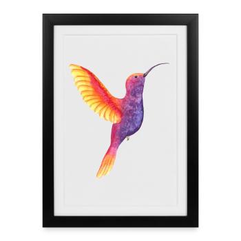 Colibri aquarelle vibrant - Affiche encadrée (27 × 37 cm) - noir - Devant