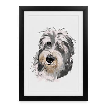 Collie barbu - Affiche encadrée (27 × 37 cm) - noir - Devant