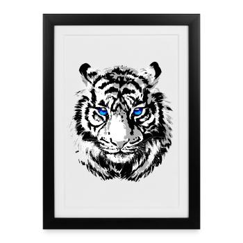 Tête de tigre - Tigre blanc - Chat sauvage - Affiche encadrée (27 × 37 cm) - noir - Devant