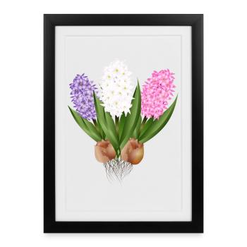 Hand-drawn hyacinths - Framed poster (27 × 37 cm) - black - Front