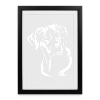 Rhodesian Ridgeback Head « Black Edition » - Affiche encadrée (27 × 37 cm) - noir - Devant