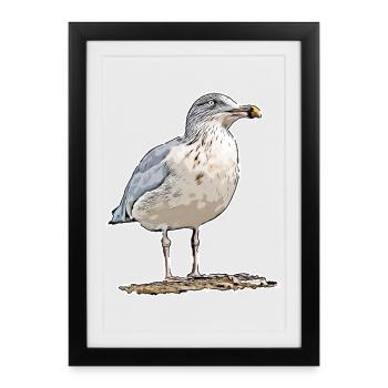 Gull - Framed poster (27 × 37 cm) - black - Front