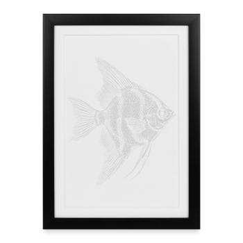 Angelfish Silhouette Sketch - Framed poster (27 × 37 cm) - black - Front