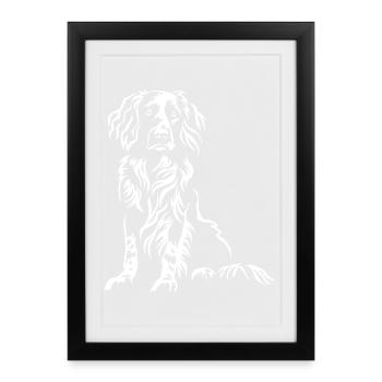 Münsterländer « Édition noire » - Affiche encadrée (27 × 37 cm) - noir - Devant