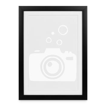 Underwater Camera Camera Diver Diving Gift - Framed poster (27 × 37 cm) - black - Front