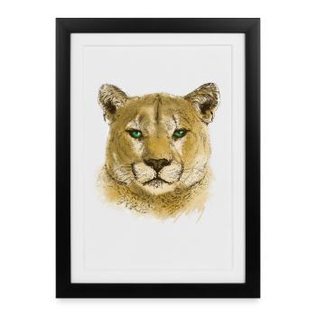 Cougar - Affiche encadrée (27 × 37 cm) - noir - Devant