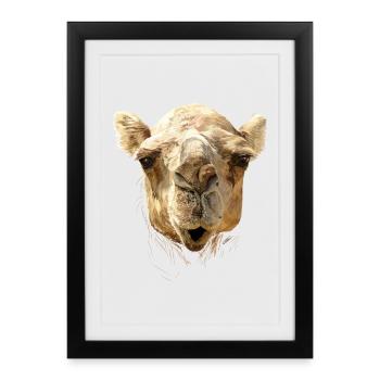 Camel - Framed poster (27 × 37 cm) - black - Front