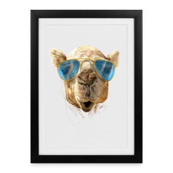 Camel with sunglasses - Affiche encadrée (27 × 37 cm) - noir - Devant