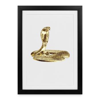 Cobra in attack on Black - Framed poster (27 × 37 cm) - black - Front