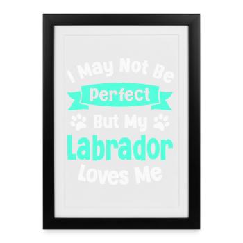 Chien Labrador Retriever - Affiche encadrée (27 × 37 cm) - noir - Devant