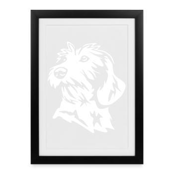 Tête de teckel « Black Edition » - Affiche encadrée (27 × 37 cm) - noir - Devant