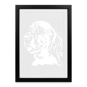 Chef de setter anglais « Black Edition » - Affiche encadrée (27 × 37 cm) - noir - Devant
