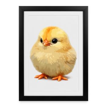 Petit poussin ensoleillé - Affiche encadrée (27 × 37 cm) - noir - Devant