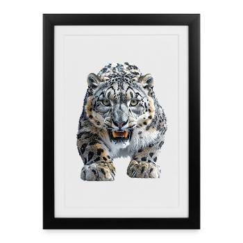 Snow leopard - Framed poster (27 × 37 cm) - black - Front