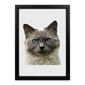 Chat Chat cat Cats Tête de chat - Affiche encadrée (27 × 37 cm) - noir - Devant