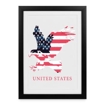 Aigle américain - Affiche encadrée (27 × 37 cm) - noir - Devant