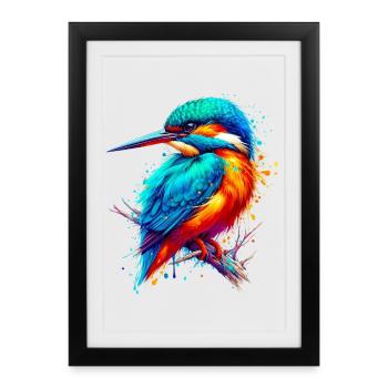 Martin-pêcheur - Affiche encadrée (27 × 37 cm) - noir - Devant