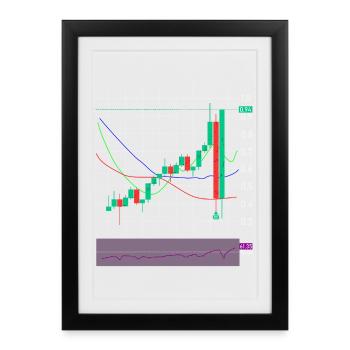 Trading Exchange Crypto Stocks - Framed poster (27 × 37 cm) - black - Front