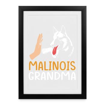 Belgian Malinois - Framed poster (27 × 37 cm) - black - Front