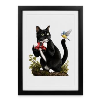 Chat ornithologue - Affiche encadrée (27 × 37 cm) - noir - Devant