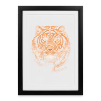 Tiger - Affiche encadrée (27 × 37 cm) - noir - Devant