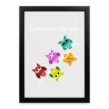 Eulersche just, owls, gift for mathematicians - Framed poster (27 × 37 cm) - black - Front