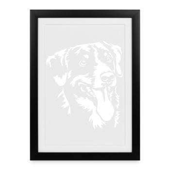 Appenzeller Sennenhund Head "Black Edition" - Affiche encadrée (27 × 37 cm) - noir - Devant