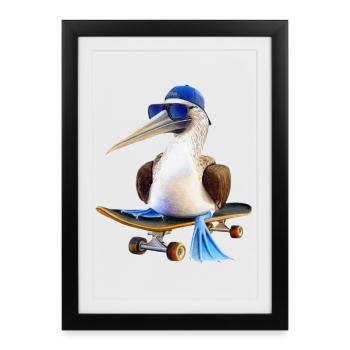Blue-footed booby skateboard - Framed poster (27 × 37 cm) - black - Front