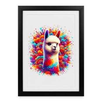 Alpaga - Affiche encadrée (27 × 37 cm) - noir - Devant