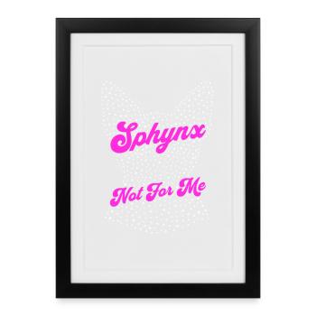 Sphynx Cat Drôle - Affiche encadrée (27 × 37 cm) - noir - Devant