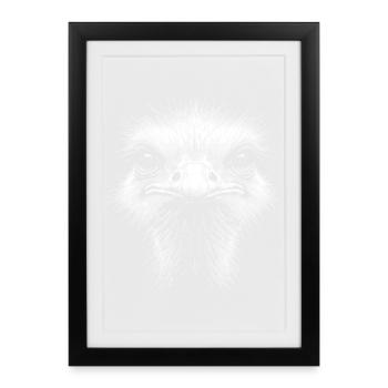 Ostrich Head - Framed poster (27 × 37 cm) - black - Front