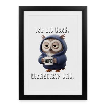 Sleepy Owl Hoodie NOPE Humor - Framed poster (27 × 37 cm) - black - Front