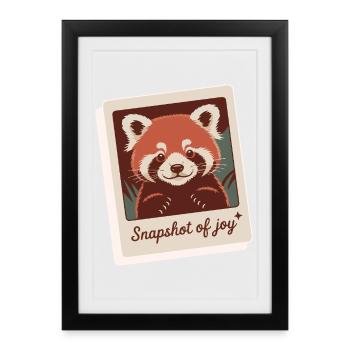 Red Panda Snapshot Joy - Framed poster (27 × 37 cm) - black - Front