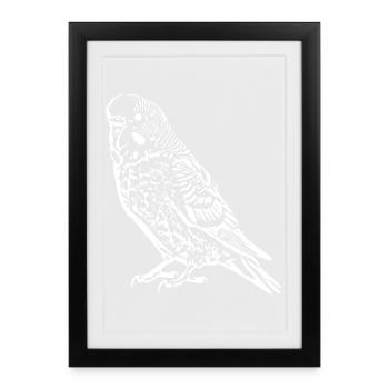 Perruche perrucheuse blanc - Affiche encadrée (27 × 37 cm) - noir - Devant