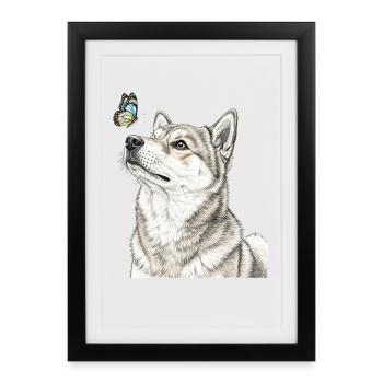 Chien Shiba Inu regardant un papillon - Affiche encadrée (27 × 37 cm) - noir - Devant