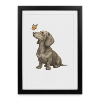 Teckel avec illustration vintage papillon - Affiche encadrée (27 × 37 cm) - noir - Devant