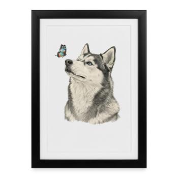 Husky sibérien avec design papillon Animal Lover - Affiche encadrée (27 × 37 cm) - noir - Devant