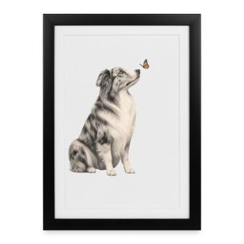 Border Collie avec millésime papillon - Affiche encadrée (27 × 37 cm) - noir - Devant