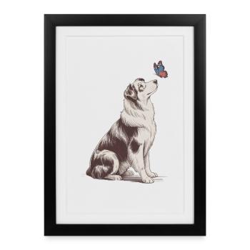 Motif papillon Border Collie - Affiche encadrée (27 × 37 cm) - noir - Devant