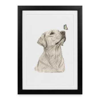 Labrador with butterfly dog motif - Framed poster (27 × 37 cm) - black - Front