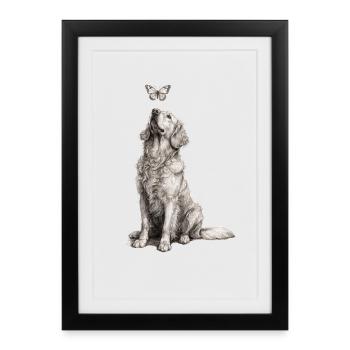 Golden Retriever with Butterfly Sketch - Framed poster (27 × 37 cm) - black - Front