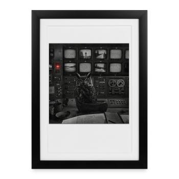Mystery Owl Monitoring Center Animal Crime - Framed poster (27 × 37 cm) - black - Front