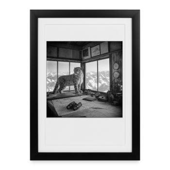 Léopard des neiges Nature vintage Crime animalier - Affiche encadrée (27 × 37 cm) - noir - Devant