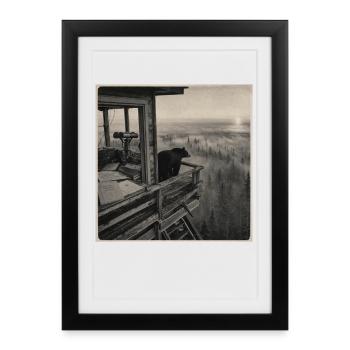 Forêt de brouillard d’ours de la faune Crime animal vintage - Affiche encadrée (27 × 37 cm) - noir - Devant