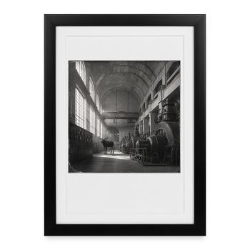 Lost Place Moose Art noir & blanc Crime animalier - Affiche encadrée (27 × 37 cm) - noir - Devant