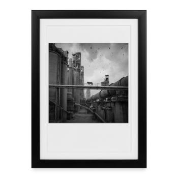 Wolf Lost Place Black & White Art Animal Crime - Framed poster (27 × 37 cm) - black - Front