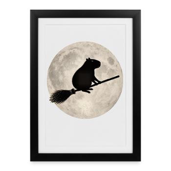 Hamster au clair de lune sur le balai - Affiche encadrée (27 × 37 cm) - noir - Devant