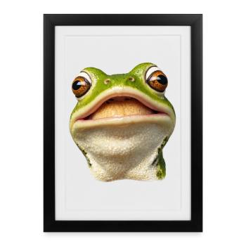 Grenouille souriante - Affiche encadrée (27 × 37 cm) - noir - Devant